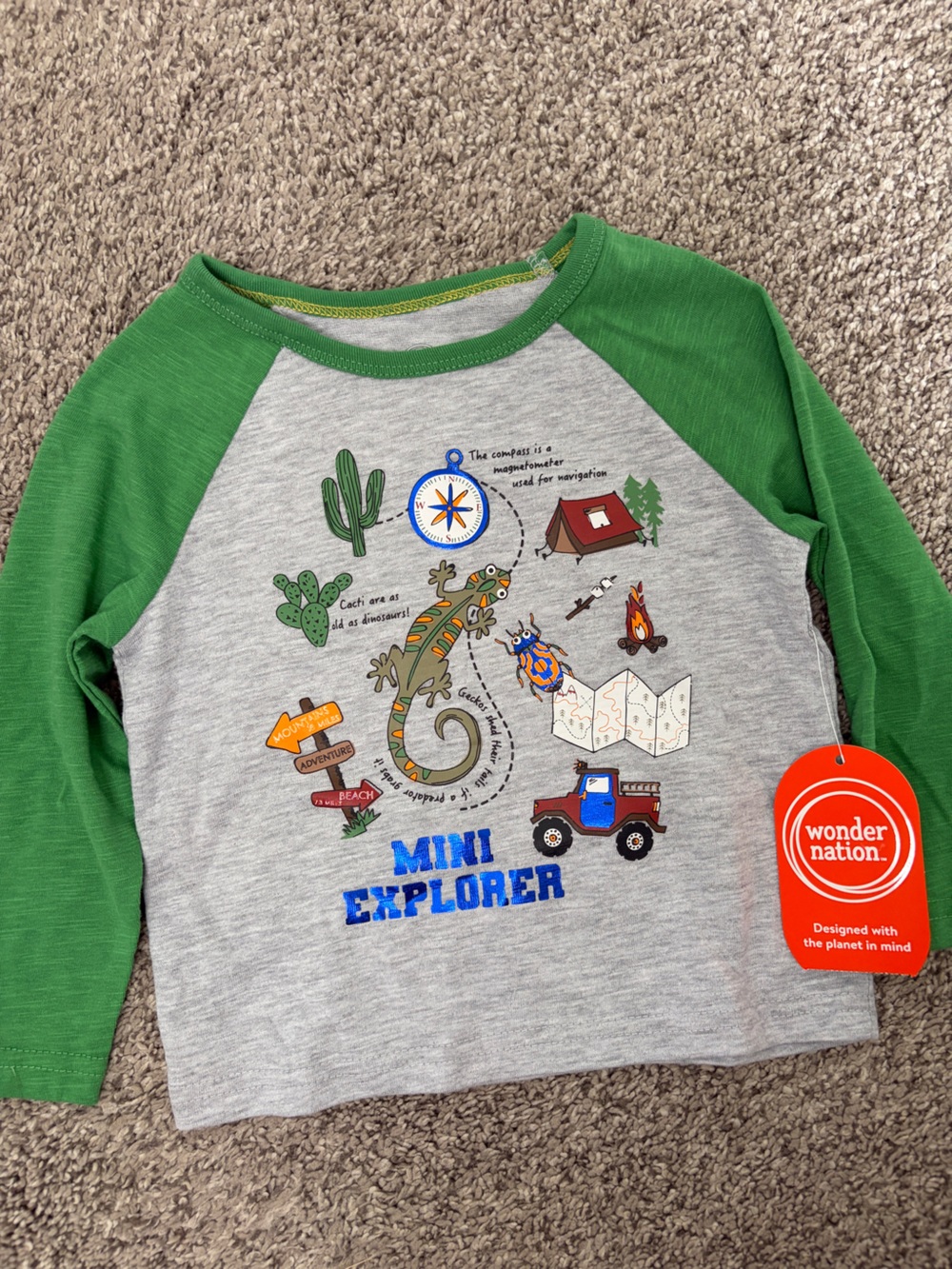 wonder nation Grey Body Green Raglan Long Sleeve Tee with Explorer Graphic